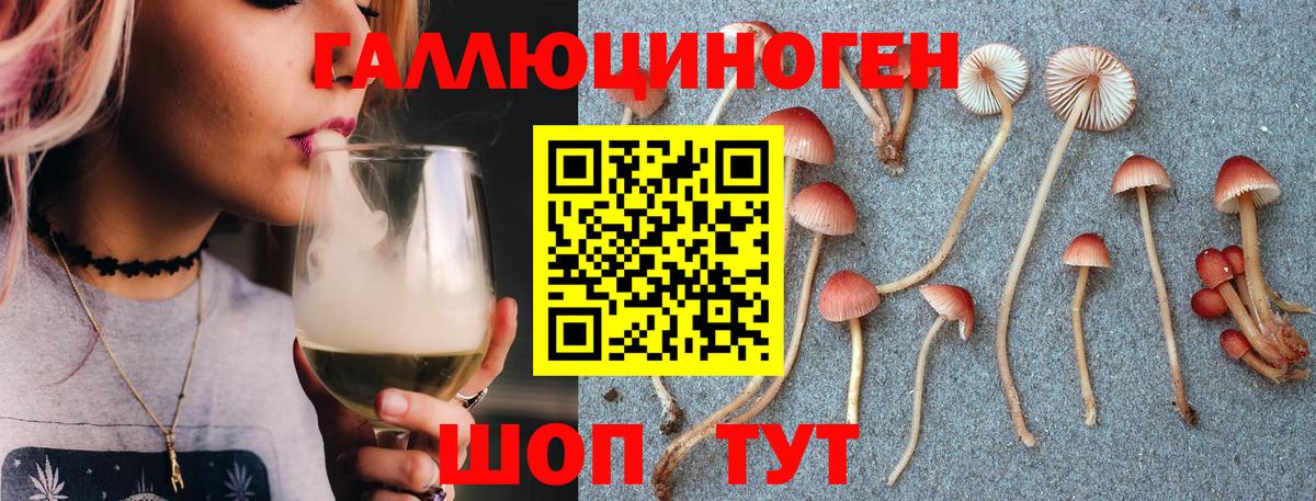 Галлюциногенные грибы GOLDEN TEACHER Ревда