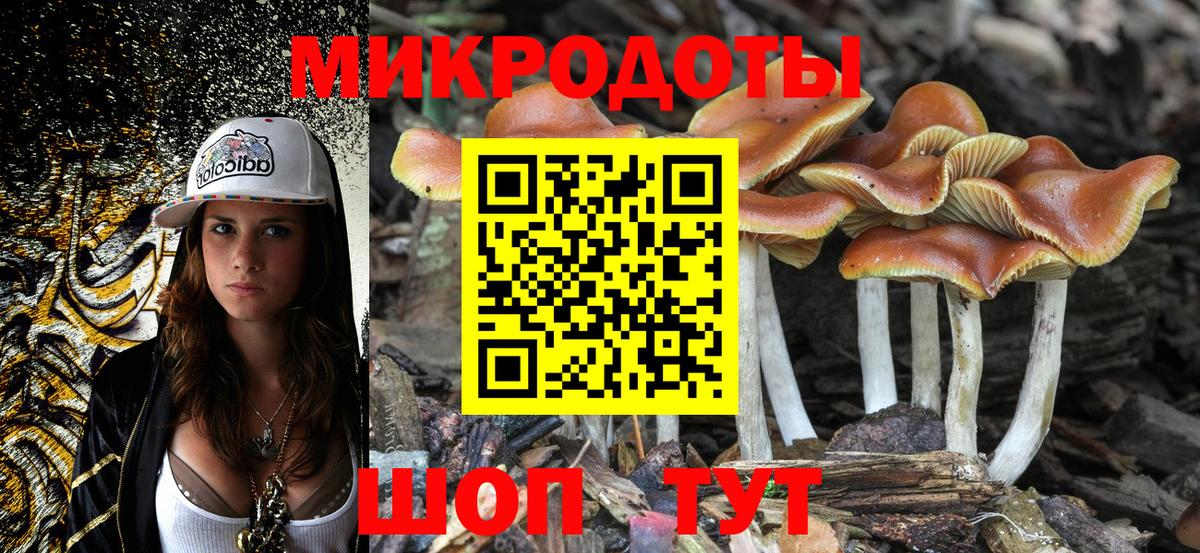 Псилоцибиновые грибы Magic Shrooms  Вход с VPN  Ревда  Псилоцибиновые грибы Magic Shrooms 